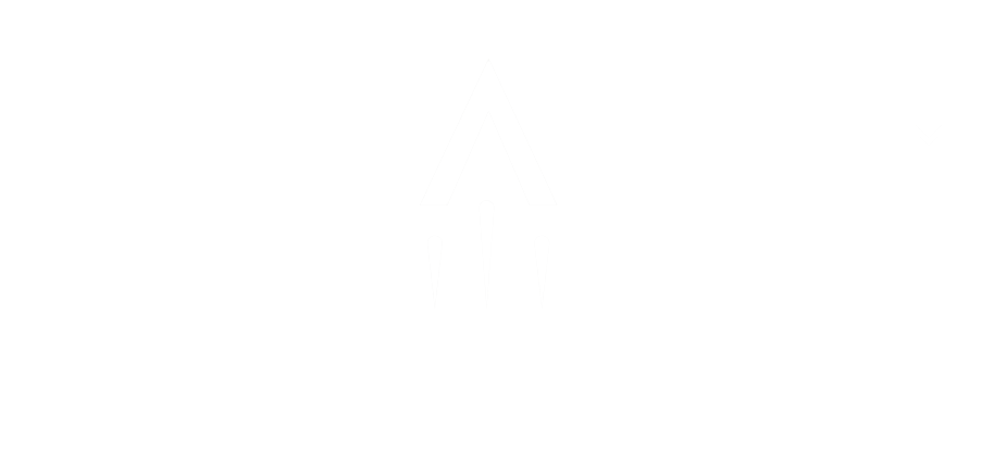 Stealth Search and Analytics Logo